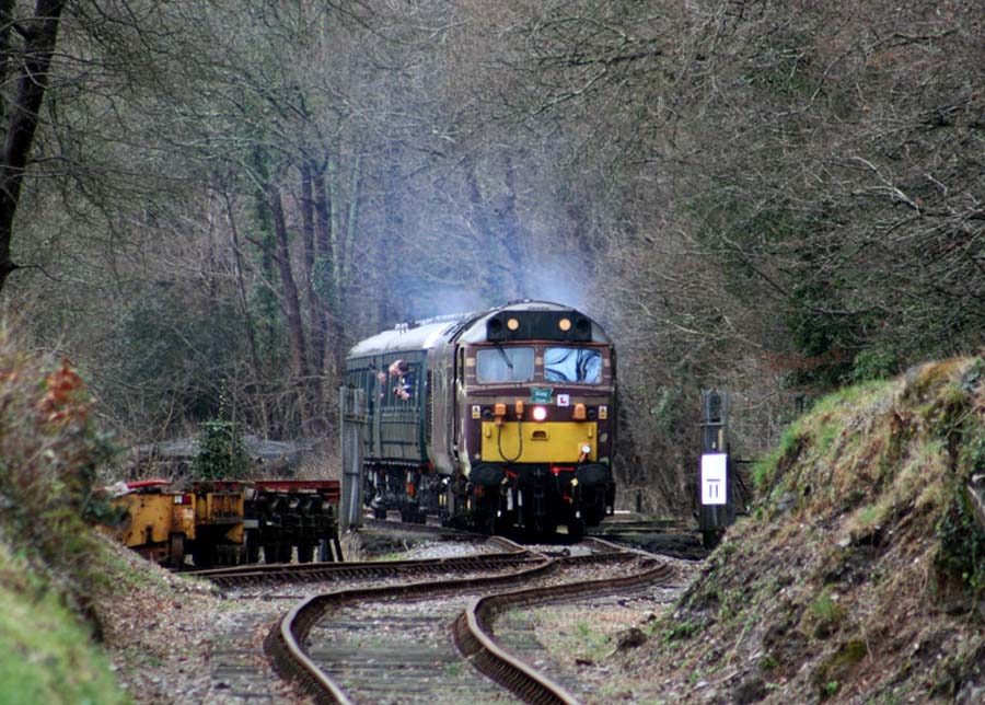 50017-Marsh-Mills[3]-3-4-10
