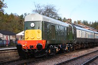 D8110 at Buckfastleigh