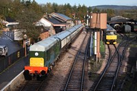 D8110 at Buckfastleigh