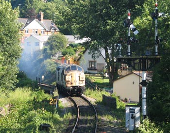 37037