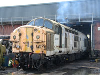 37037 at Barrow Hill