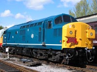 37 037